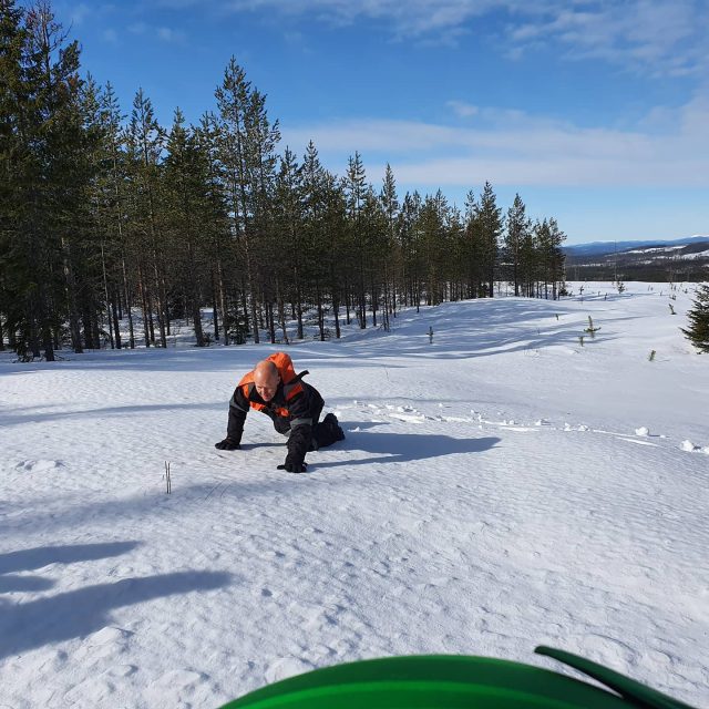 Lite djup snö så då får chefen krypa på alla fyra för att ta en bra bild utan att sjunka ner en meter 😂
